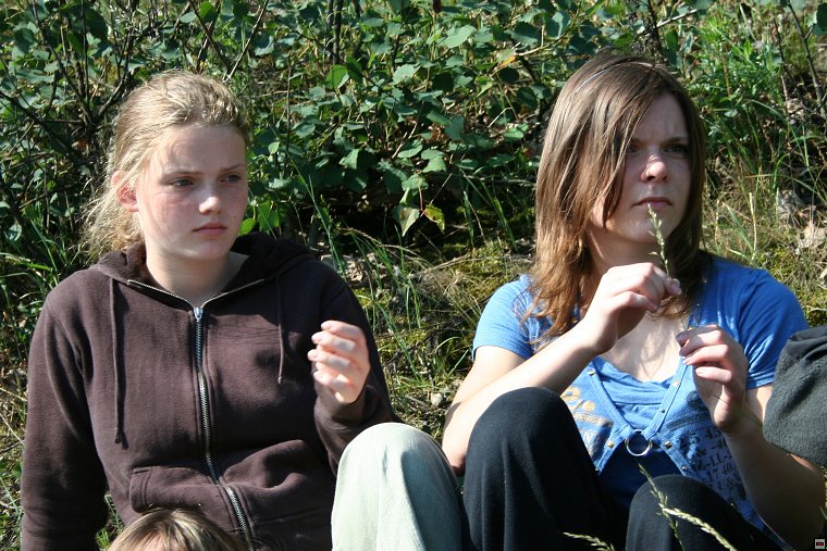 img00037.jpg