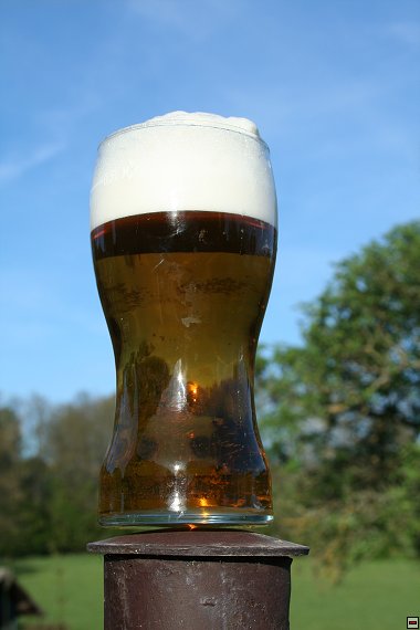 img00021.jpg