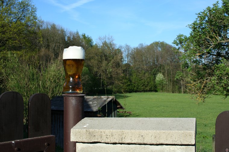 img00022.jpg