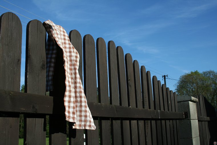 img00029.jpg