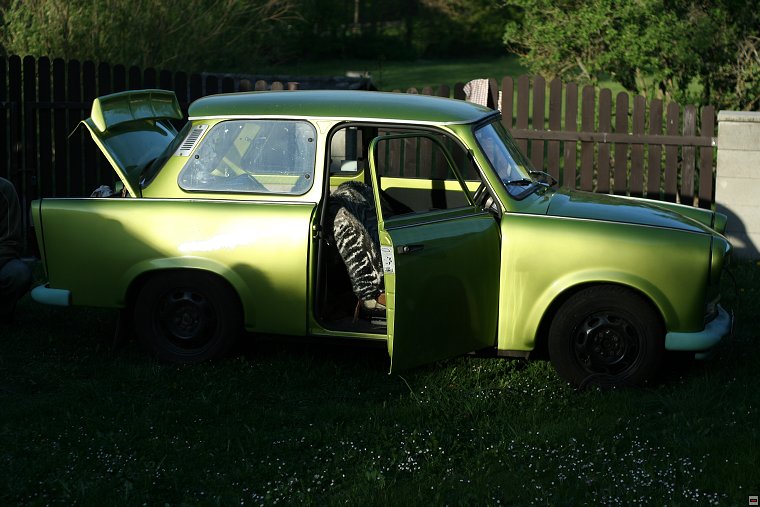 img00064.jpg