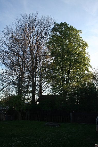 img00098.jpg