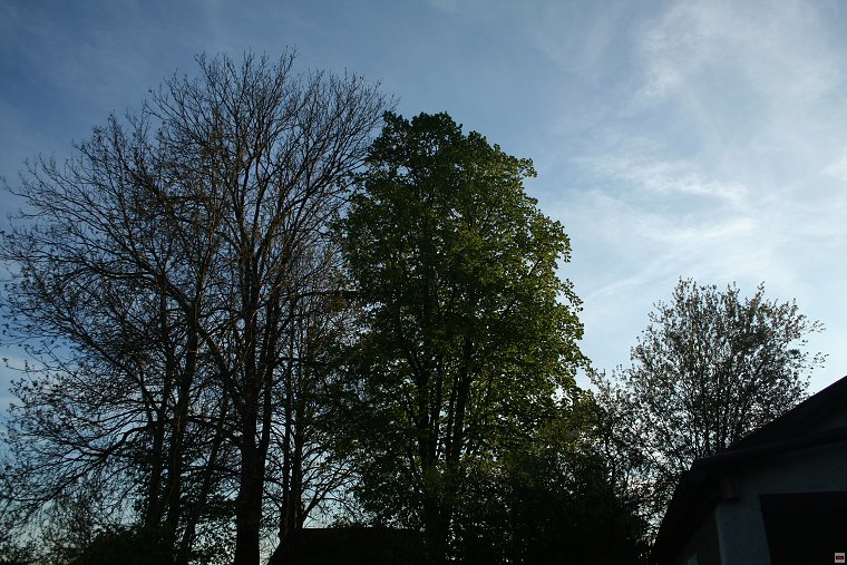 img00099.jpg