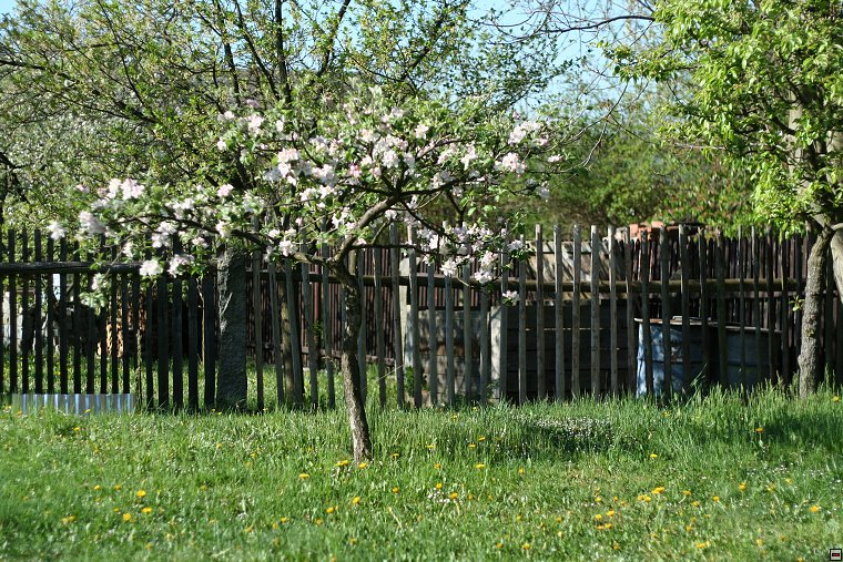 img00002.jpg