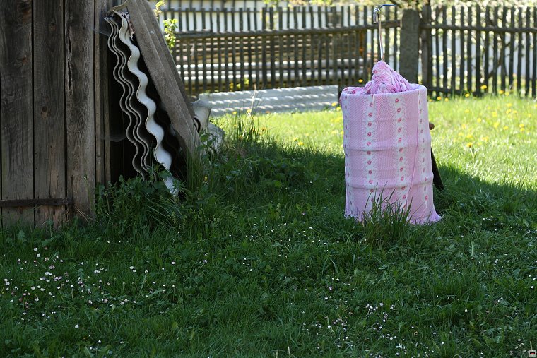 img00009.jpg
