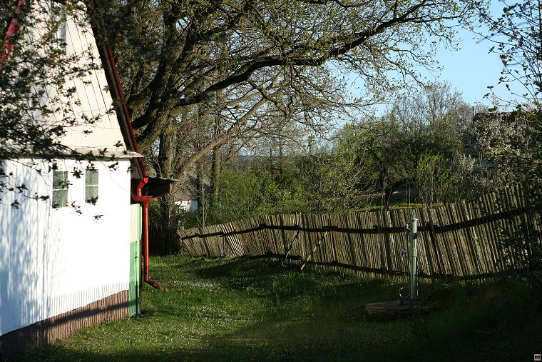 img00065.jpg