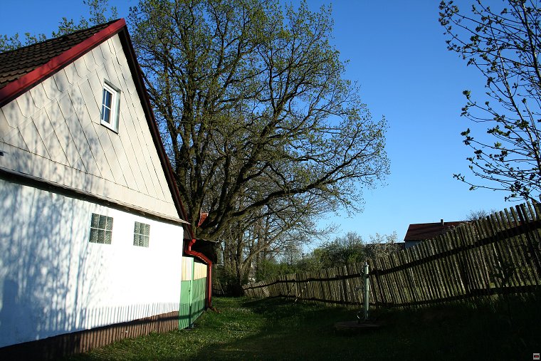 img00069.jpg