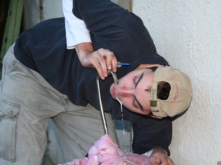 img00074.jpg