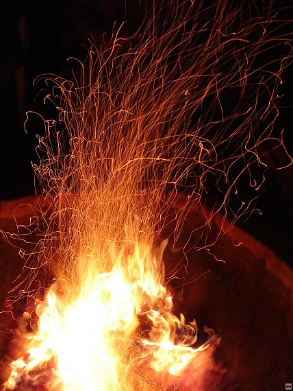 img00041.jpg