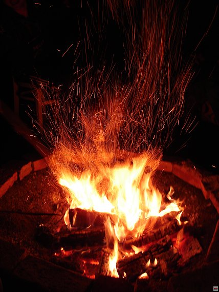 img00081.jpg