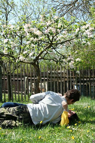 img00037.jpg
