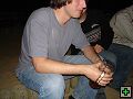 thn00067.jpg