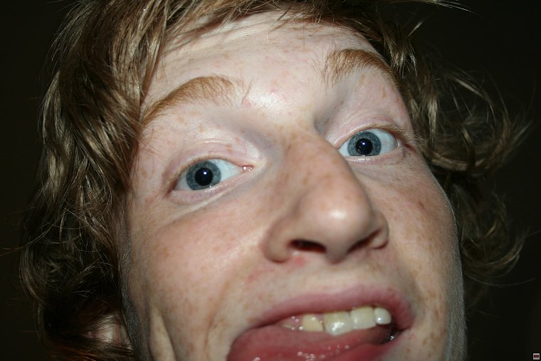 img00013.jpg