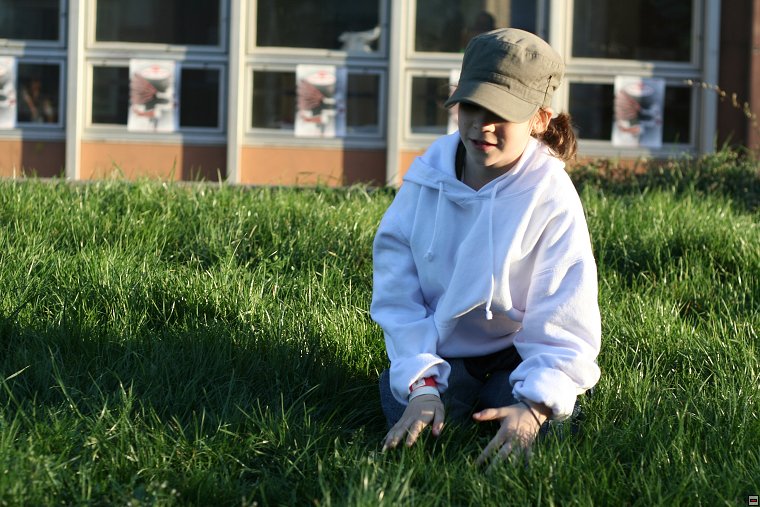 img00033.jpg